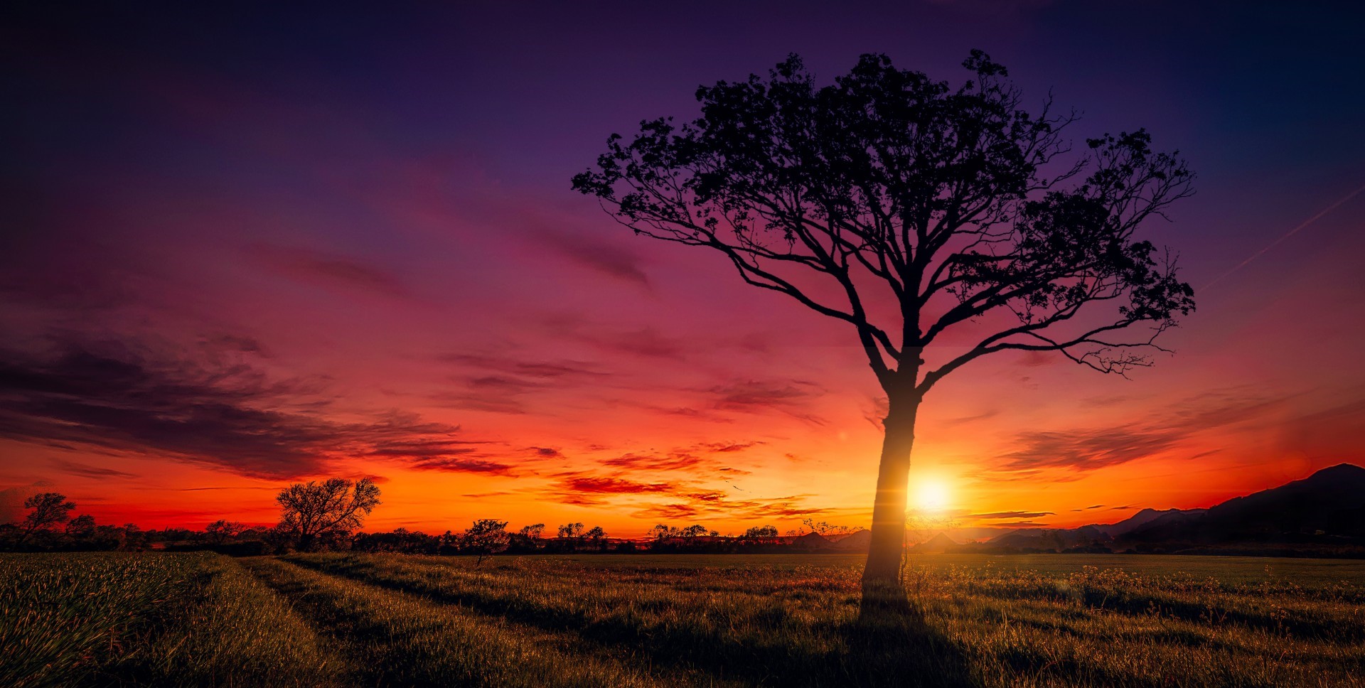 rejection_can_be_your_greatest_resource