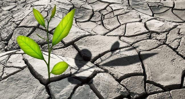 the_discipline_of_conviction