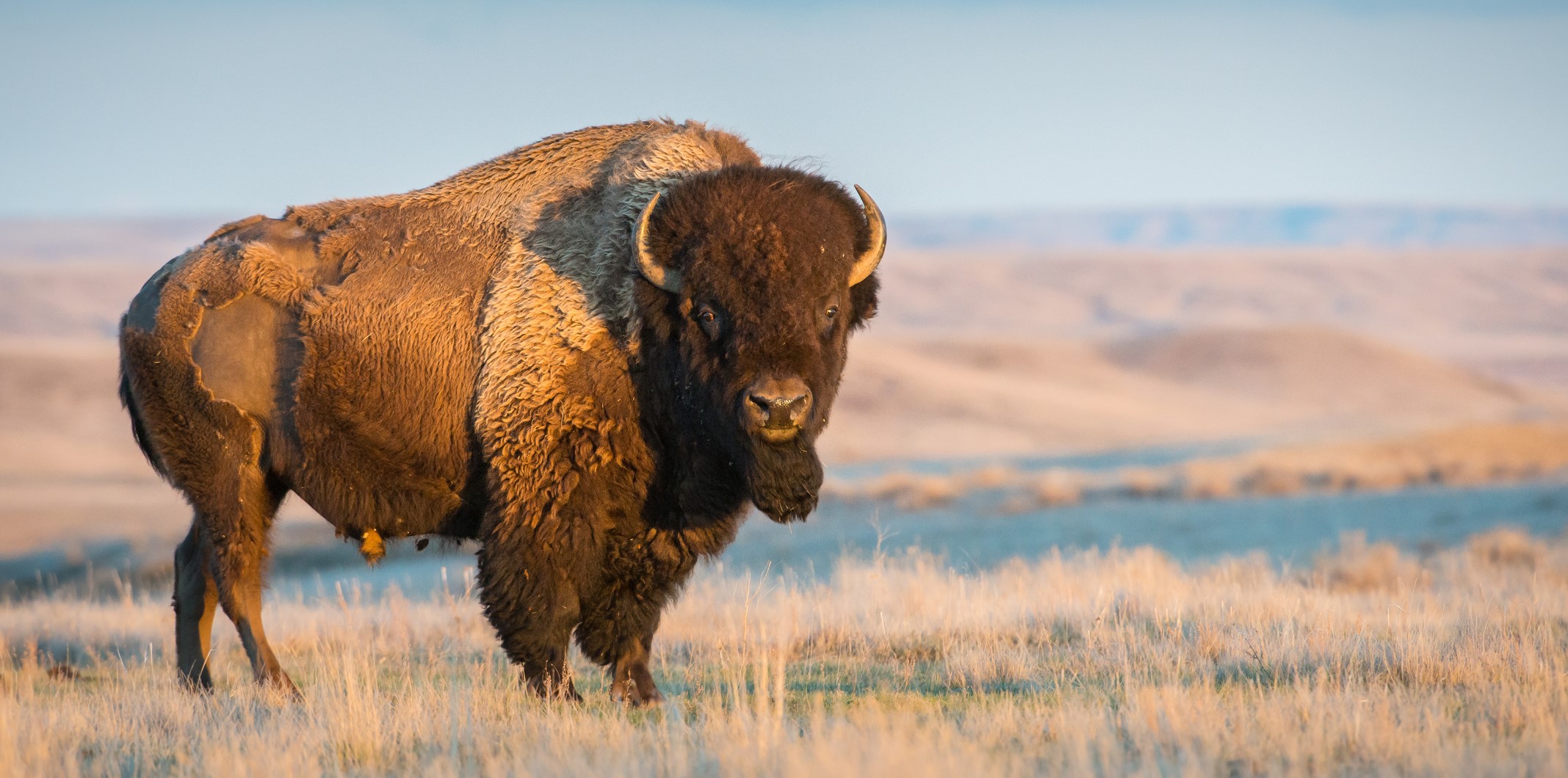 you_will_not_always_be_strong